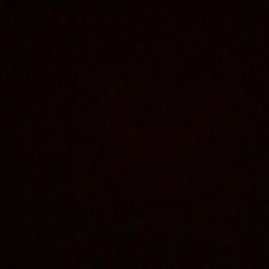 Meet your Posher, Dylan